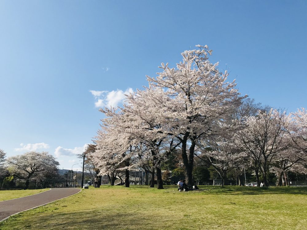 西公園